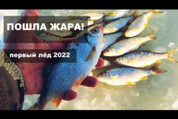 Модератор на кракене